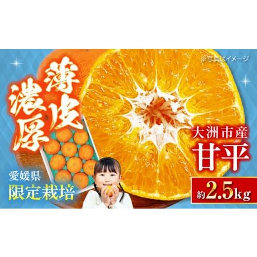 ふるさと納税 みかん・柑橘類 愛媛県 大洲市 愛媛オリジナル柑橘 大玉「秀品 甘平」 3L~5L 約2.5kg 7から10個 愛媛県大洲市/株式会社フジ・アグリフーズ AGB…