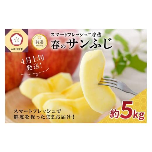 ふるさと納税 りんご 青森県 五所川原市 2026年4月上旬発送 りんご春のサンふじ特選5kg スマートフレッシュTM貯蔵 4月上旬発送(1日〜10日)