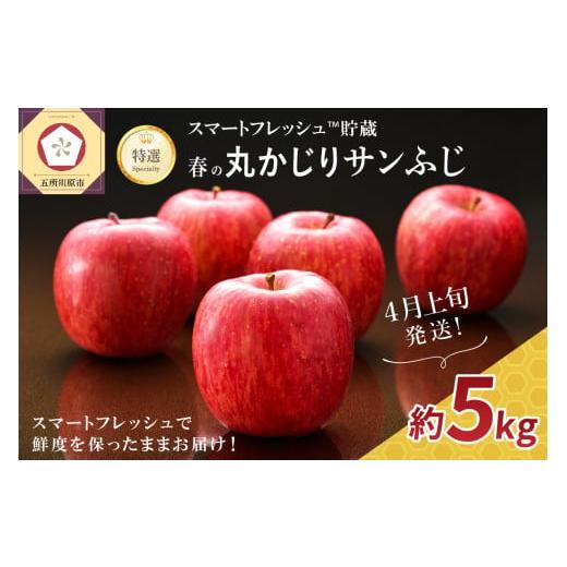 ふるさと納税 りんご 青森県 五所川原市 2025年4月上旬発送 りんご春のサンふじ特選丸かじり5kgスマートフレッシュTM貯蔵 4月上旬発送(1日〜10日)