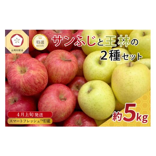 ふるさと納税 りんご 青森県 五所川原市 2026年4月上旬発送 りんご 5kg 程度 贈答規格(特選) 選べる配送時期 サンふじ と 王林 セット スマートフレッシュT…