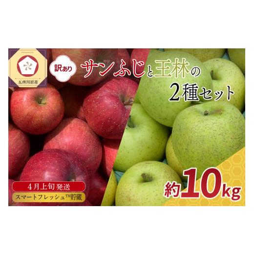 ふるさと納税 りんご 青森県 五所川原市 2026年4月上旬発送 りんご 10kg 程度 訳あり サンふじ と 王林 セット スマートフレッシュTM貯蔵 青森県五所川原市 …