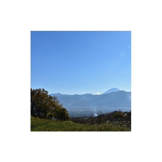 ふるさと納税 食器・グラス ティーカップ 山梨県 南アルプス市 6-47 花と木の工房 メイフラワーズ ヒノキのコーヒーカップ ALPBH030の画像