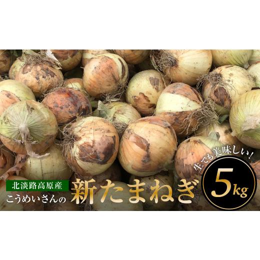 ふるさと納税 野菜類 玉ねぎ 兵庫県 淡路市  新たまねぎ こうめいさんの玉葱5kg 発送時期：2026年4月下旬〜6月上旬頃 玉ねぎ 産地直送 タマネギ 甘い 玉葱 旬 …の画像