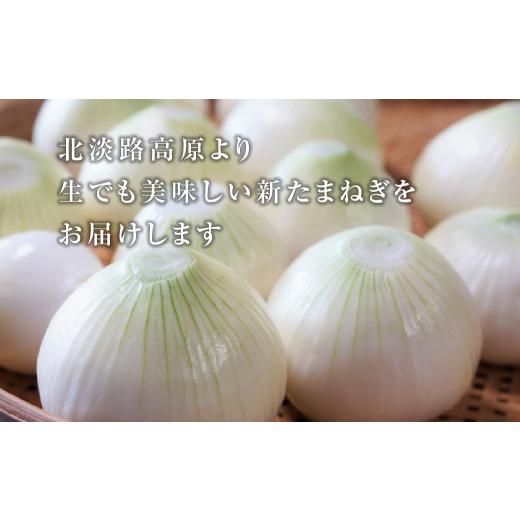 ふるさと納税 野菜類 玉ねぎ 兵庫県 淡路市  新たまねぎ こうめいさんの玉葱5kg 発送時期：2026年4月下旬〜6月上旬頃 玉ねぎ 産地直送 タマネギ 甘い 玉葱 旬 …の画像