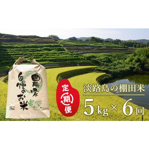 ふるさと納税 米 コシヒカリ 兵庫県 淡路市 定期便 淡路島の棚田米 5kg×6回(毎月発送) 6回(毎月配送)