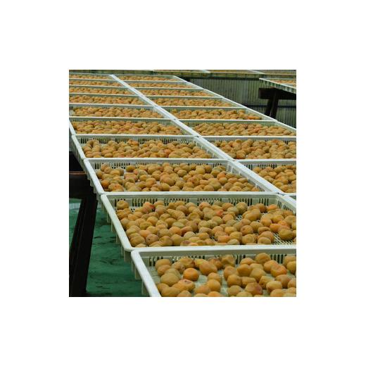 ふるさと納税 和歌山県 湯浅町 BL6154_【定期便】紀州南高梅 7種の風味 400g×12ヶ月 化粧箱入