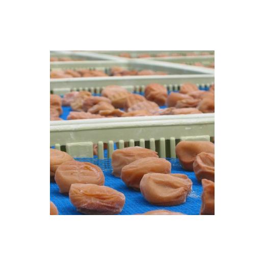 ふるさと納税 和歌山県 湯浅町 BL6154_【定期便】紀州南高梅 7種の風味 400g×12ヶ月 化粧箱入