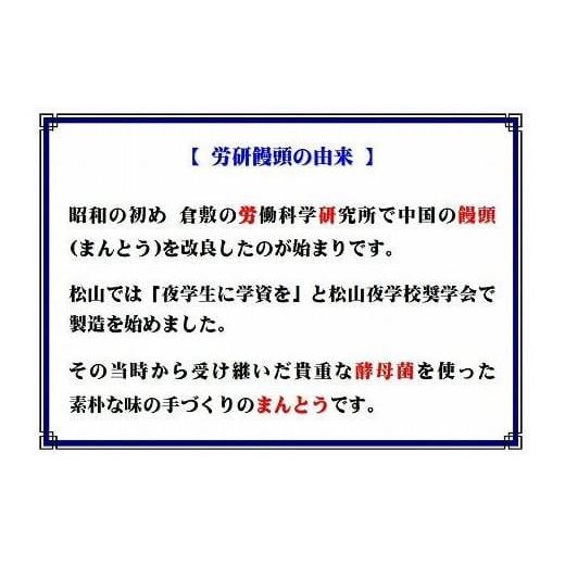 ふるさと納税 愛媛県 松山市 労研饅頭（ろうけんまんとう）全14種類記念セット パン 蒸しパン 菓子パン お取り寄せスイーツ おやつ 和スイーツ あんこ 製菓 冷…｜furusatochoice｜08