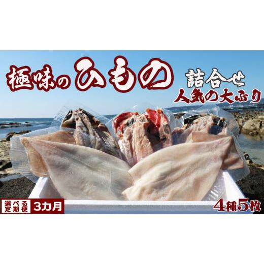 ふるさと納税 干物 イカ 千葉県 鴨川市 極味の定期便 特選 人気ひもの詰合せ 大ぶり3種+いか一夜干し2枚 × 選べる3カ月[隔月便] 0038-0004 隔月発送…