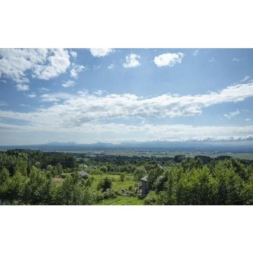 ふるさと納税 羊肉 北海道 長沼町 かねひろジンギスカン ロース・マトン・特上ラム（各500g）