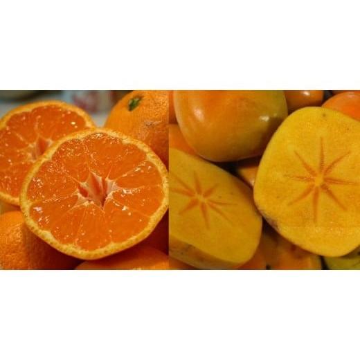 ふるさと納税 果物類 柿 和歌山県 和歌山市 和歌山産 みかんとたねなし柿セット 10kg(各5kg×2) ヤマタ大谷商店