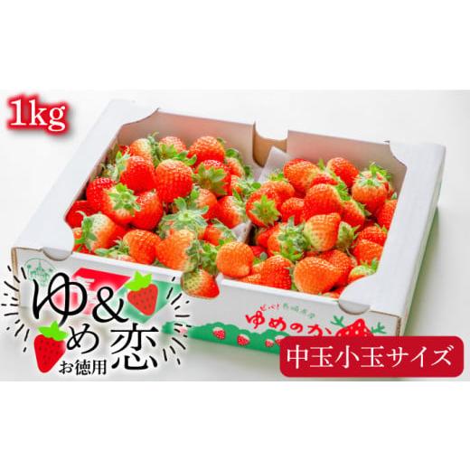 ふるさと納税 いちご 長崎県 壱岐市 いちご 先行予約 ゆめのか・恋みのり いちご 1kg(2種ミックス) いちご 苺 イチゴ 果物 フルーツ いちご 甘い ichigo str…