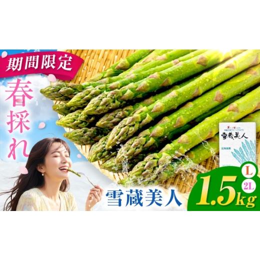 ふるさと納税 野菜類 アスパラガス 北海道 美唄市 春アスパラ 雪蔵美人 アスパラガス 計1.5kg(2L・L) | アスパラ グリーンアスパラ アスパラガス 北海道 春…