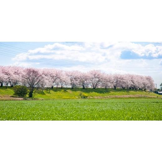 ふるさと納税 雑貨・日装具 岐阜県 輪之内町 KRH 足がかり 鍵を掛けるいの一番 KN-2 500個 1284060