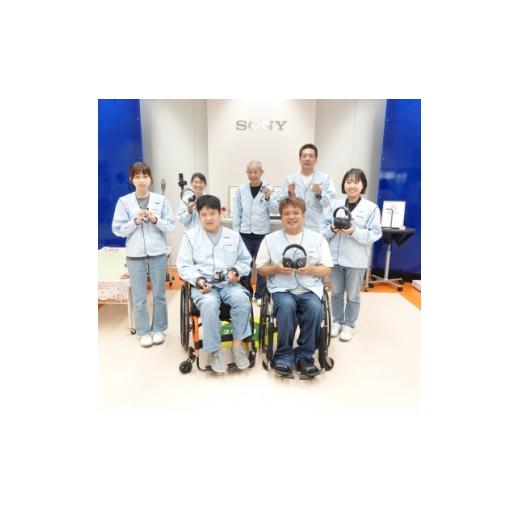 ふるさと納税 TV・オーディオ・カメラ 大分県 日出町 イヤホンモニター SONY MDR-EX800ST 聴く音を高音質で再現 音楽鑑賞や仕事用にも_高解像度 イヤフォン イ…の画像