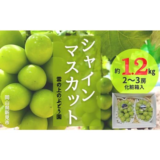 ふるさと納税 ぶどう マスカット 岡山県 新見市 雲の上のぶどう園 シャインマスカット 約1.2kg 2〜3房 先行予約 2026年10月中旬から順次発送 約1.2kg 2〜3房
