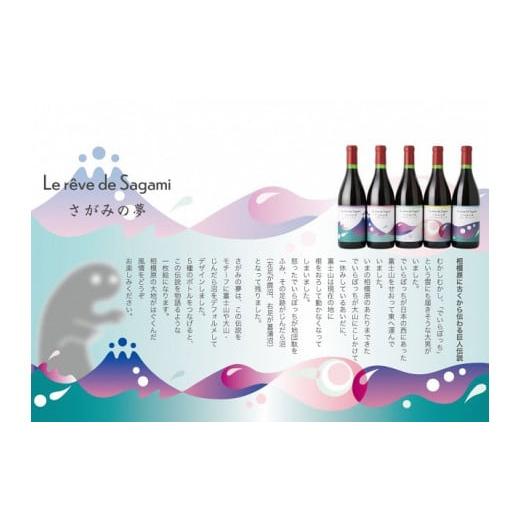 ふるさと納税 神奈川県 相模原市 さがみの夢ワイン　飲みくらべ3本セット（「プレミアム」、「レギュラー」、「フルーティーブレンド」各1本） アルコール度数12 5％ 720ml　1本 プレミアム 酸化防止剤 亜硫酸塩