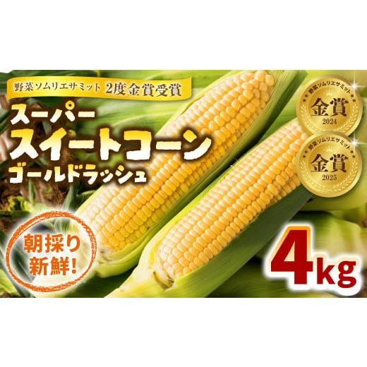 ふるさと納税 とうもろこし 熊本県 八代市 先行予約 熊本県八代市産 スーパースイートコーン ゴールドラッシュ 4kg 野菜ソムリエサミット 2年連続金賞受賞 ス…