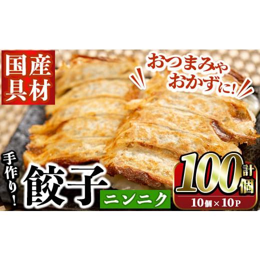ふるさと納税 惣菜・レトルト 冷凍 鹿児島県 阿久根市 国産豚肉使用 手作りニンニク餃子(計100個・10個×10パック)国産 ギョウザ ぎょうざ お肉 にんにく おか…