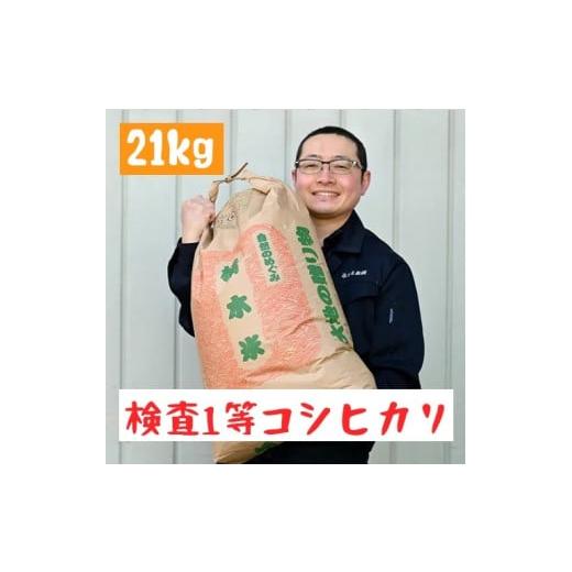 ふるさと納税 米 コシヒカリ 栃木県 さくら市 令和7年栃木県産 コシヒカリ 白米21kg 検査1等米 離島への配送不可
