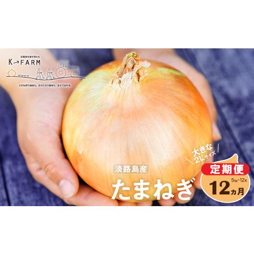 ふるさと納税 野菜類 玉ねぎ 兵庫県 淡路市 定期便12ヶ月 淡路島たまねぎ 大きな2Lサイズ 5kg 玉ねぎ 玉葱 オニオン
