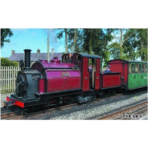 ふるさと納税 雑貨・日用品 玩具 埼玉県 鶴ヶ島市 G008-25 鉄道模型 OO-9 スモールイングランド プリンス(赤)