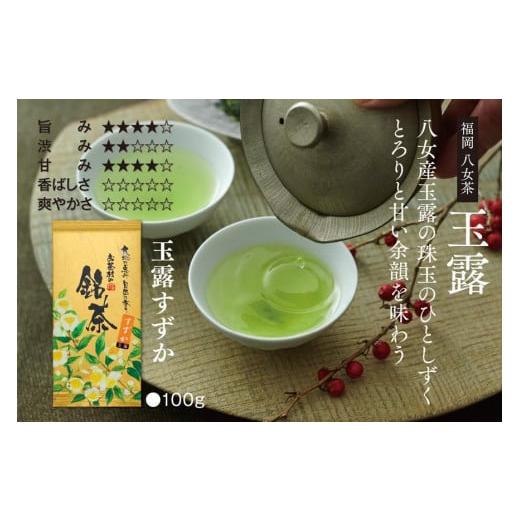 ふるさと納税 福岡県 八女市 【八女・お茶村】特上煎茶《初みどり》と玉露《すずか》玉露入り旨味だしのセット｜furusatochoice｜04