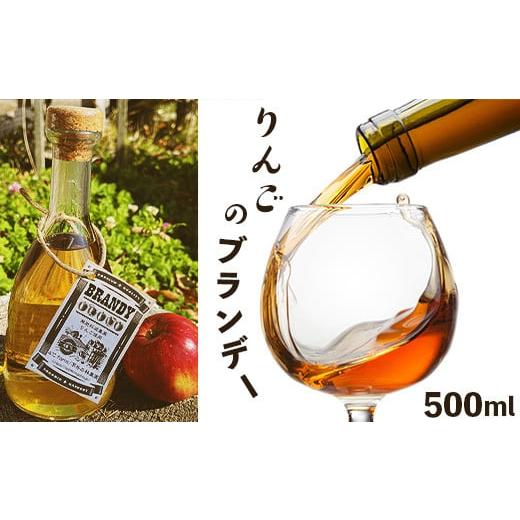 ふるさと納税 お酒 洋酒 長野県 長野市 J0697りんごのブランデー500ml