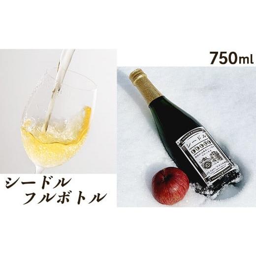 ふるさと納税 洋酒・リキュール類 長野県 長野市 J0698シードルフルボトル750ml
