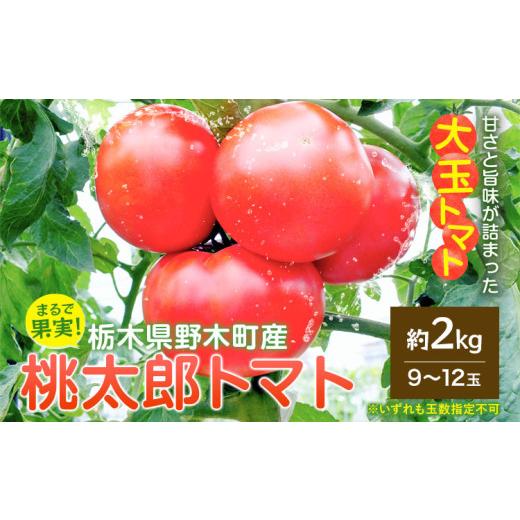 ふるさと納税 野菜類 トマト 栃木県 野木町 トマト 栃木県 野木町産 トマト 桃太郎 約2kg 秋山農園[3月上旬-7月上旬頃出荷予定]栃木県 野木町 甘い 野菜 桃…