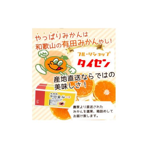 ふるさと納税 和歌山県 湯浅町 ZJ6026n_【先行予約】【ご家庭用】和歌山 有田みかん 約10kg (2L、3Lサイズ)【湯浅町】｜furusatochoice｜03
