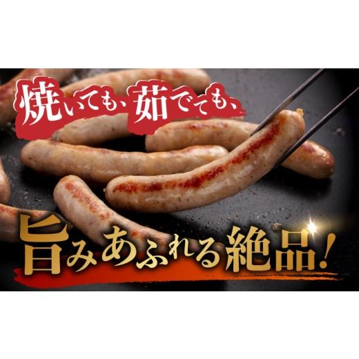 ふるさと納税 肉 ソーセージ 福岡県 糸島市 全3回定期便 金賞受賞 おすすめ ギフトセット ( ハム ／ ソーセージ ／ ウインナー )《糸島》 糸島手造りハム AAC…_2