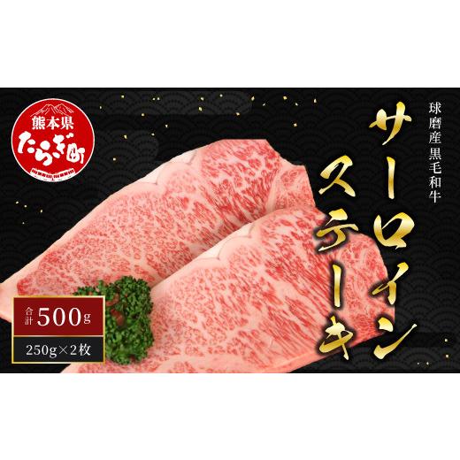 ふるさと納税 牛肉 サーロイン 熊本県 多良木町 順次発送 球磨産 黒毛和牛 サーロイン ステーキ 計500g 250g ×2枚 国産 ステーキ ご馳走 ごちそう お取り寄…