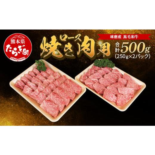 ふるさと納税 牛肉 ロース 熊本県 多良木町 球磨産 黒毛和牛 ロース 焼き肉用 500g(250g×2パック) サーロイン スライス 小分け 牛肉 ロース 和牛 国産 軟ら…