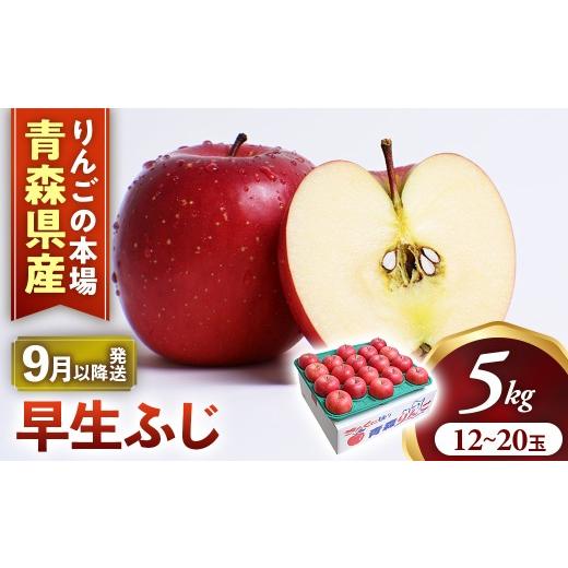 ふるさと納税 りんご 青森県 三戸町 りんご 早生ふじ 約5kg(12〜20玉) 2026年産・先行予約 2026年9月下旬〜10月下旬頃まで発送予定 旬のりんご 青森県産リン…