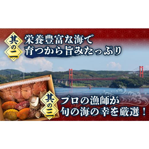 ふるさと納税 長崎県 平戸市 【全6回定期便】【平戸フィーバーの火付け役】 平戸瀬戸物語 【平戸市 ／ 平戸さくら水産】 [KAA286]｜furusatochoice｜07