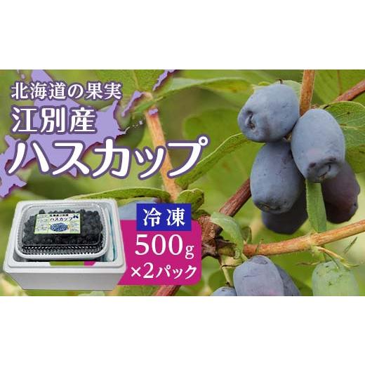 ふるさと納税 果物類 北海道 江別市 北海道の果実 江別産ハスカップ(冷凍)500g×2パック