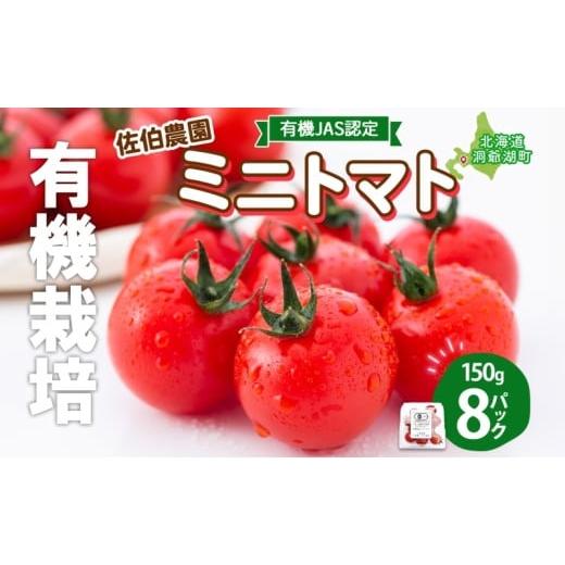 ふるさと納税 トマト ミニトマト 北海道 洞爺湖町 北海道 有機JAS認定 ミニトマト ダルタリー 150g×8パック 7月中旬〜9月上旬頃にお届け 有機栽培 新鮮 旬 野…