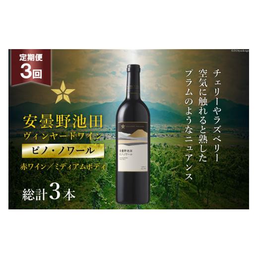 ふるさと納税 ワイン 赤ワイン 長野県 池田町 3回 定期便 赤ワイン サッポロ グランポレール 安曇野池田ヴィンヤード「ピノ・ノワール」750ml 総計3本 ナチュ…