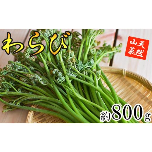 ふるさと納税 野菜類 山菜 岩手県 八幡平市  5月中旬発送開始予定 期間限定 天然山菜 わらび 約800g ／ ワラビ 蕨 山菜 さんさい 採れたて 春の味覚 旬 旬野菜…の画像