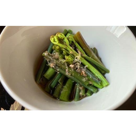 ふるさと納税 野菜類 山菜 岩手県 八幡平市  5月中旬発送開始予定 期間限定 天然山菜 わらび 約800g ／ ワラビ 蕨 山菜 さんさい 採れたて 春の味覚 旬 旬野菜…の画像