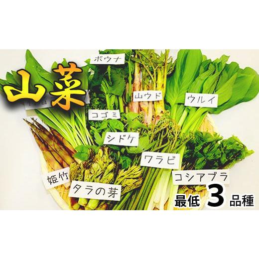 ふるさと納税 岩手県 八幡平市 [ 期間限定 ] 天然山菜 食べ比べセット 約300g / じじちゃん 天ぷら 旬 春の味覚 産地直送