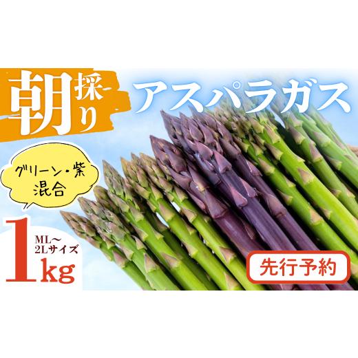 ふるさと納税 野菜類 アスパラガス 岩手県 西和賀町 先行予約5/31迄 限定30 やまに農産「朝採りアスパラガス」1kg