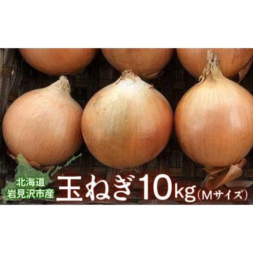ふるさと納税 野菜類 玉ねぎ 北海道 岩見沢市 北海道岩見沢市産 玉ねぎMサイズ10kg 09126