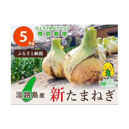 ふるさと納税 野菜類 玉ねぎ 兵庫県 南あわじ市  あさひサンファーム 兵庫県認証 特別栽培 淡路島新たまねぎ 5kg （配送3月上旬〜）の画像