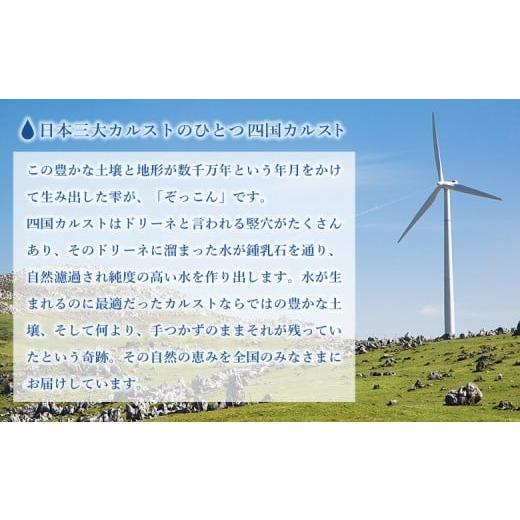 ふるさと納税 水・ミネラルウォーター 2.1L〜 愛媛県 西予市 四国カルスト天然水ぞっこん（6L×2本）×4ケース　計8本_3