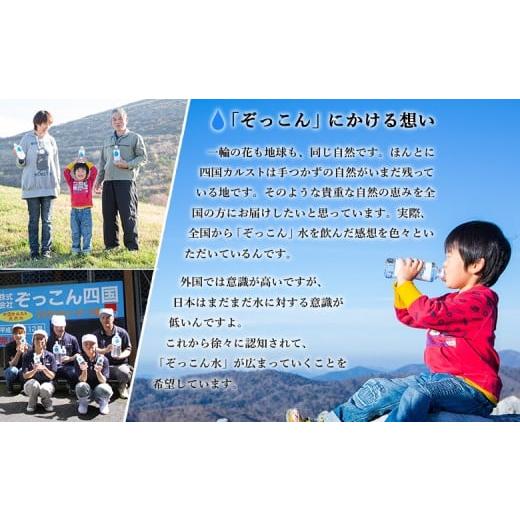 ふるさと納税 水・ミネラルウォーター 2.1L〜 愛媛県 西予市 四国カルスト天然水ぞっこん（6L×2本）×4ケース　計8本_5