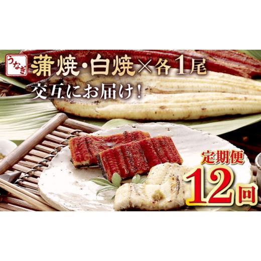 ふるさと納税 ウナギ 高知県 室戸市 蒲焼き・白焼きを代わり代わりにお届け 国産ウナギ１尾 全１２回定期便 _ ウナギ 鰻 鰻 1尾 国産 高知県産 蒲焼き 白焼き かば…