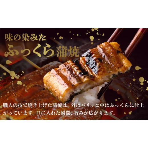 ふるさと納税 ウナギ 高知県 室戸市 蒲焼き・白焼きを代わり代わりにお届け 国産ウナギ１尾 全１２回定期便 _ ウナギ 鰻 鰻 1尾 国産 高知県産 蒲焼き 白焼き かば…