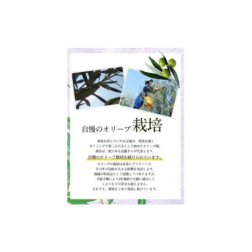 ふるさと納税 熊本県 荒尾市 荒尾市産100％ エキストラバージンオリーブオイル 2本セット 《12月上旬-12月末頃より出荷予定》荒尾オリーブファーム合同会社 